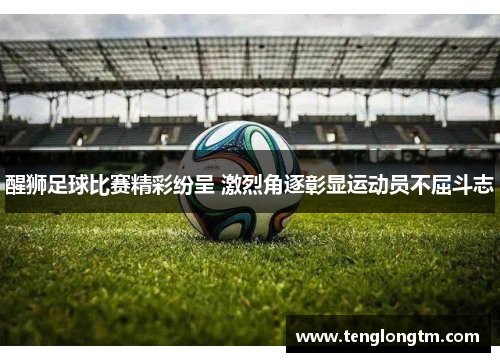 醒狮足球比赛精彩纷呈 激烈角逐彰显运动员不屈斗志