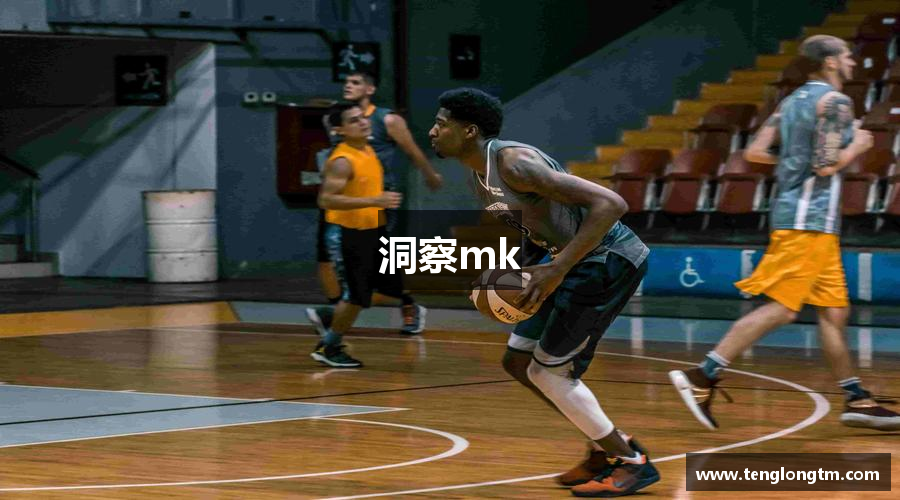 洞察mk